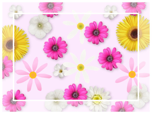 �5195 �������(a): ����������:1024x768